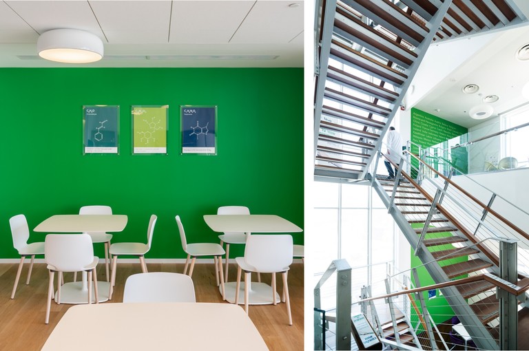 Teva Corporate Workplace